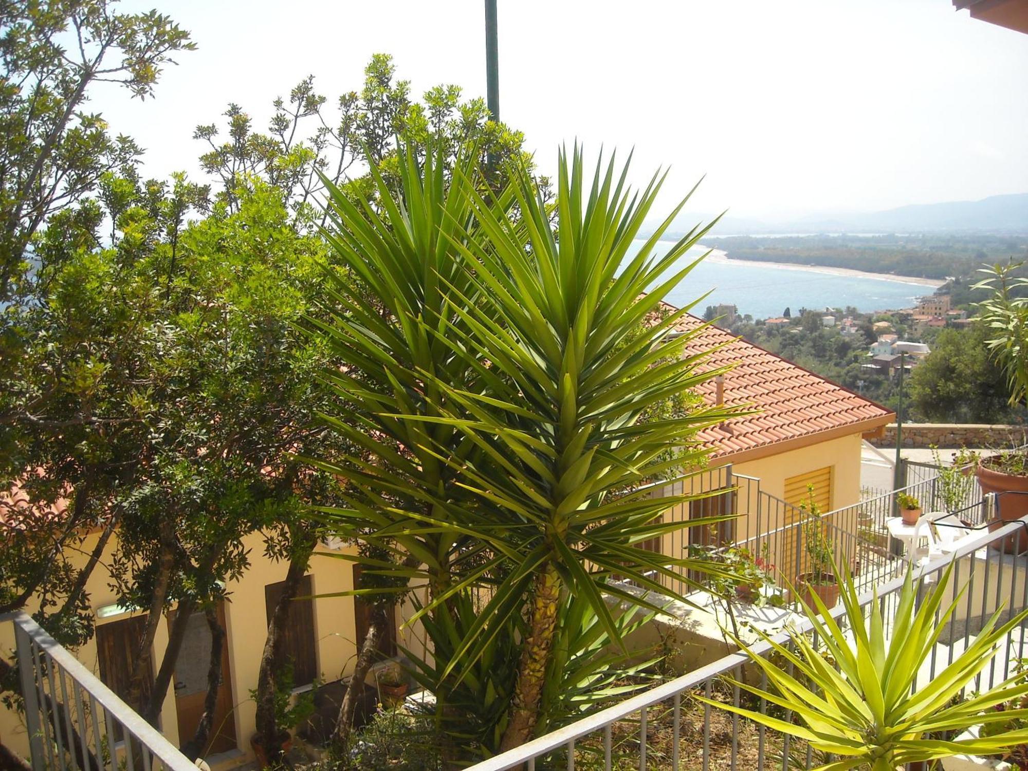 Ostello Bellavista Santa Maria Navarrese Ngoại thất bức ảnh